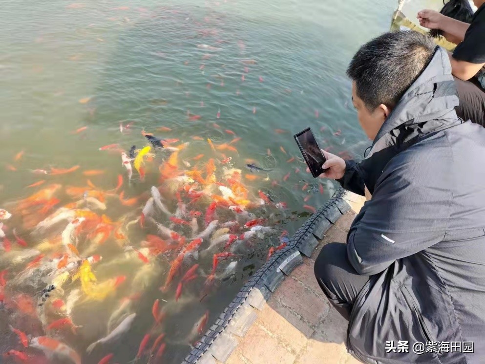 湖北附近景点哪里好玩，今年春节就决定来这里