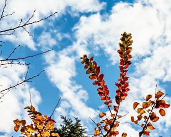 国家卫健委等六部门出台文件，这类医学人才获支持，就业前景广阔！