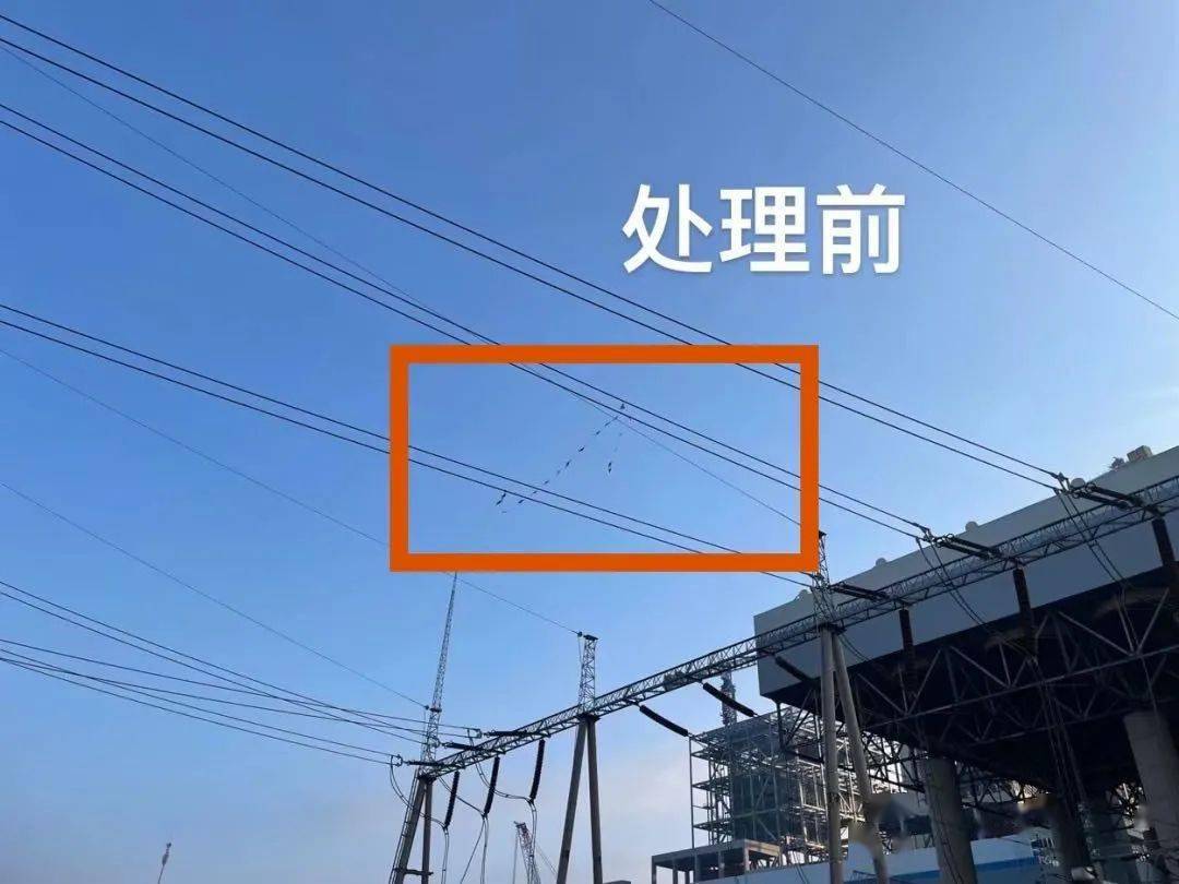 国外小伙造激光机器人1小时除草10万株，地毯式“轰炸”，AI识别