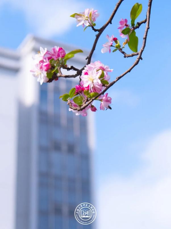 推开“三扇窗”，揭开上海大学的绝佳美景！每一帧都是画，美出新高度！