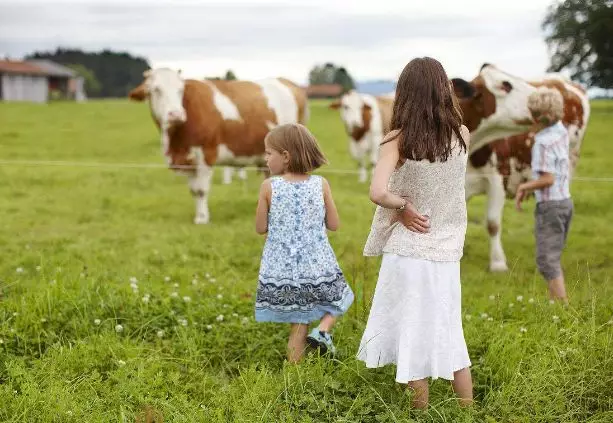农场幼儿园：功课就是玩，最幸福的童年莫过于此