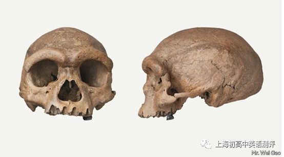 修订说明｜2022外刊精编：上海市高考英语教学质量评估卷