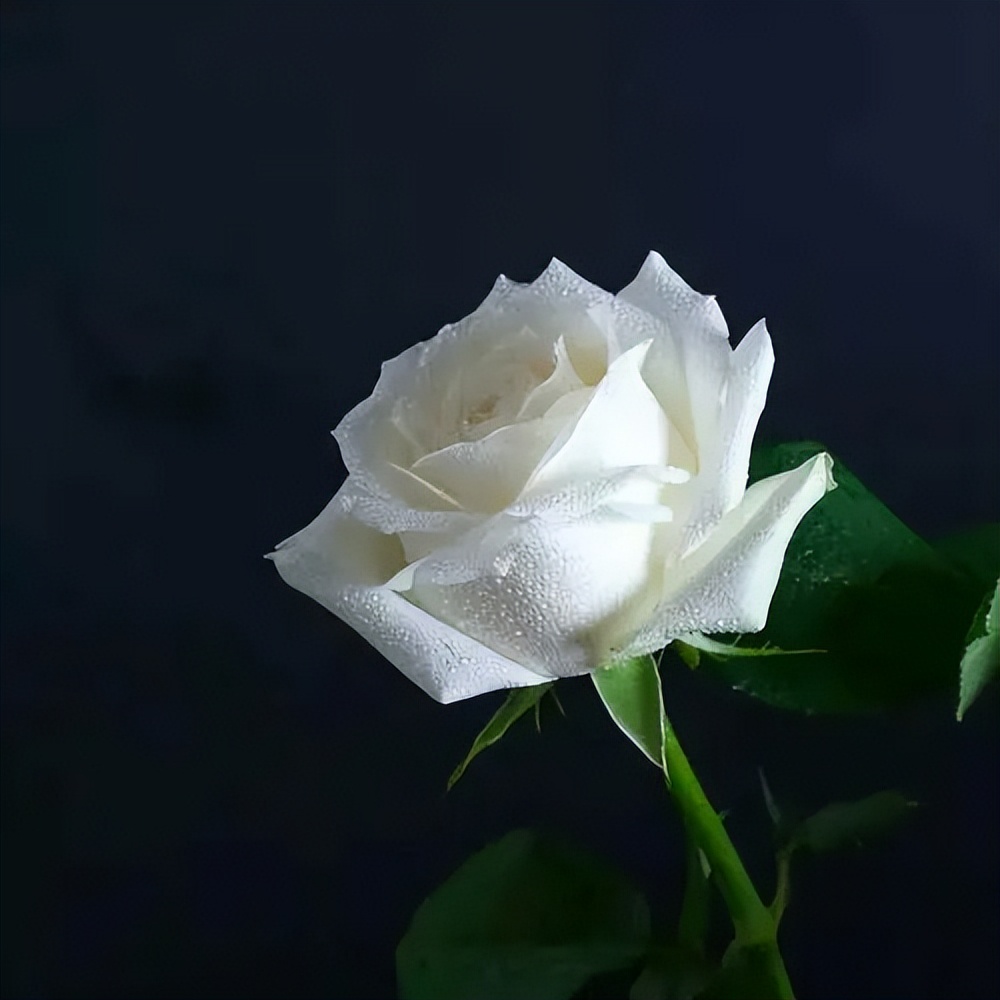 ĸH(ji)ԴЇҲиH(ji)֪һ