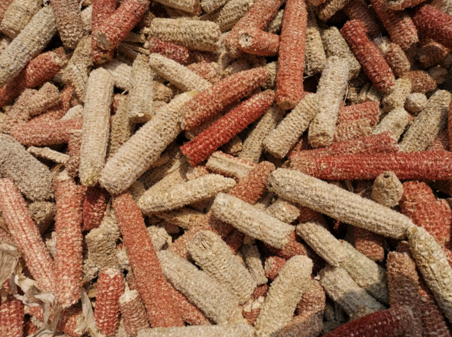 玉米芯颗粒多少钱一吨(在中国被当柴烧的玉米芯)