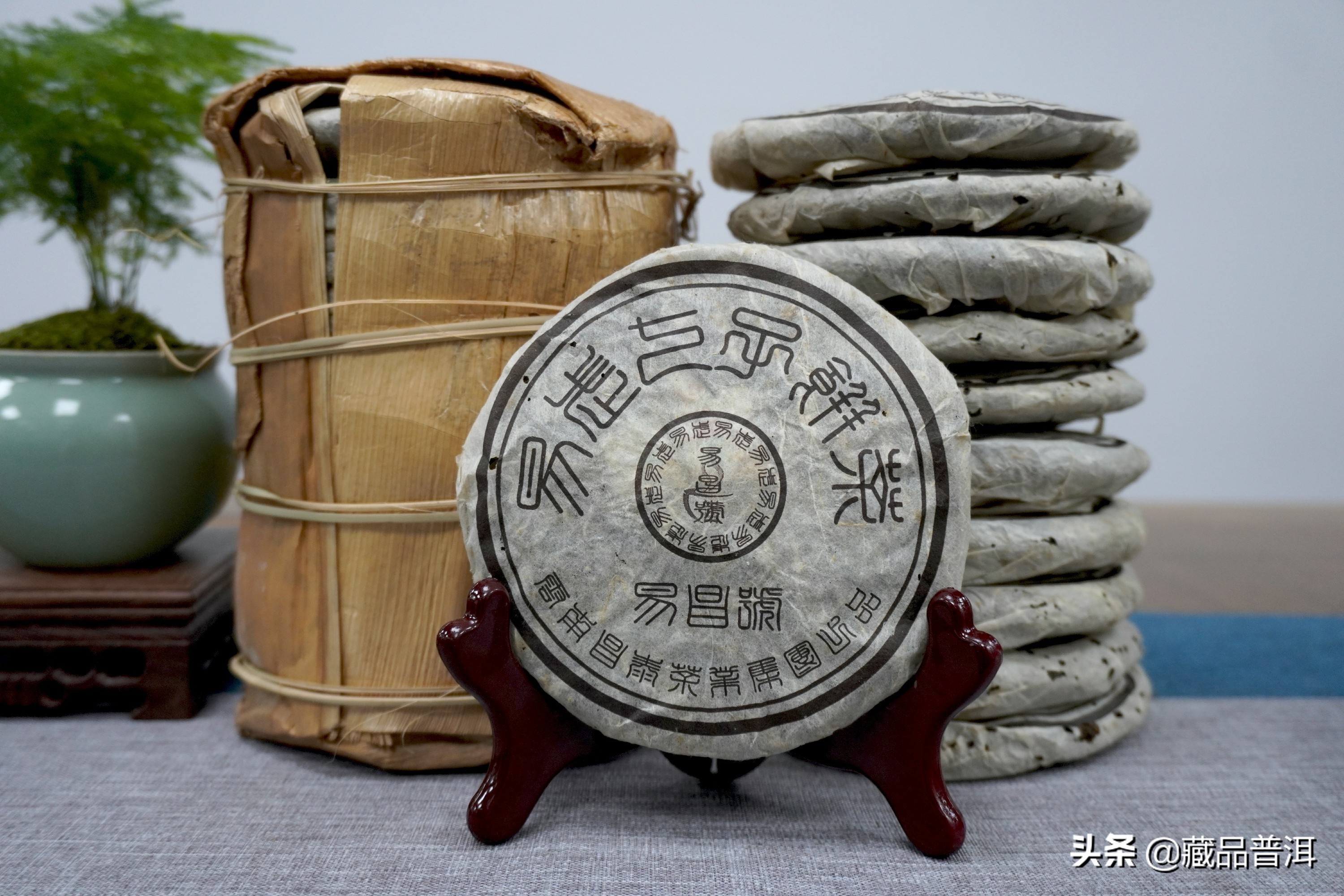 12款普洱茶知名品牌盘点！下关、八角亭、中茶、易昌号，榜上有名