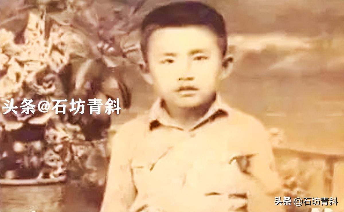 从未向命运低头的杨在葆：36岁入狱，拒绝后妻表白，退休金6000元