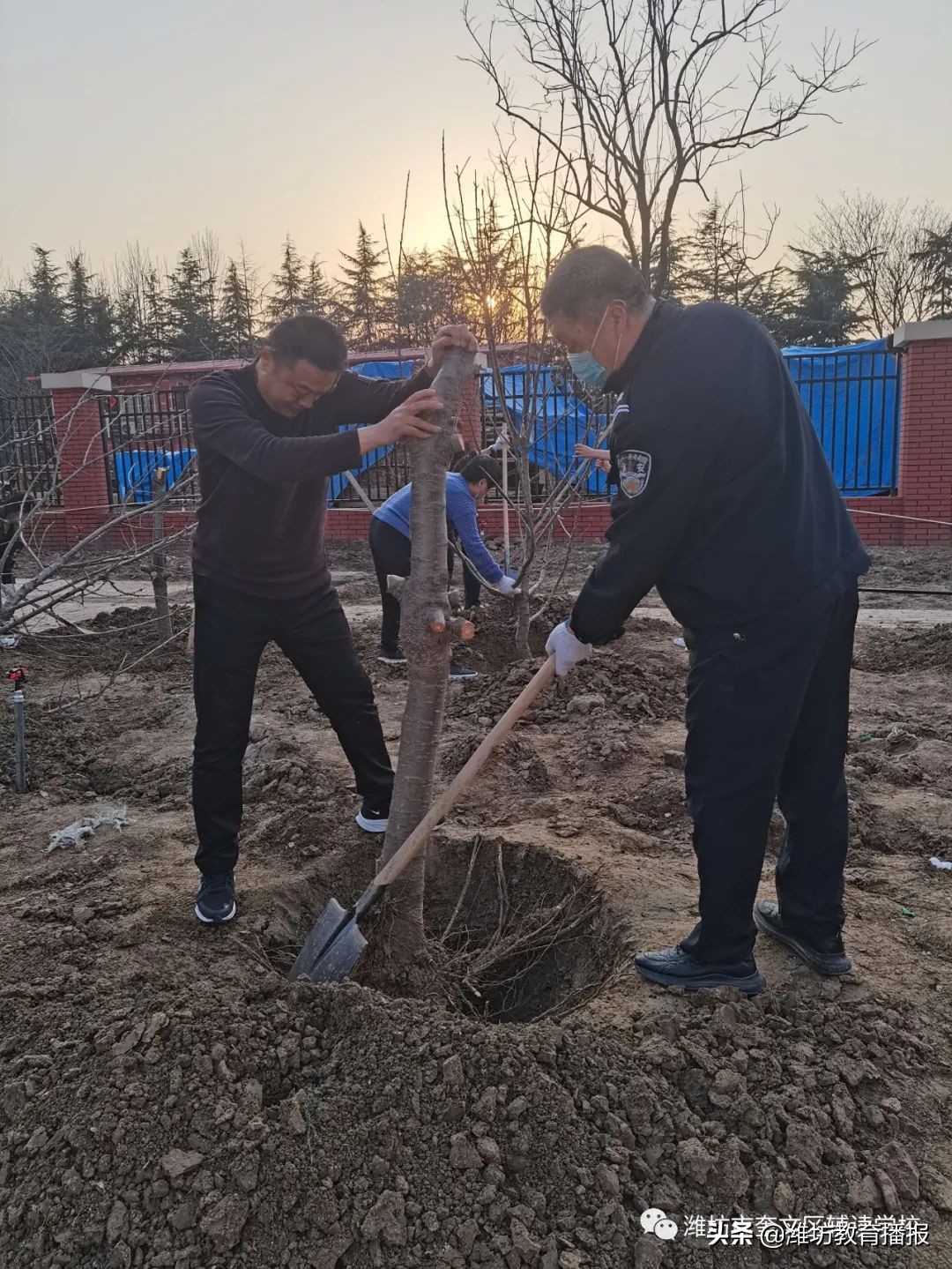 奎文区辅读学校教师为新校园添新绿