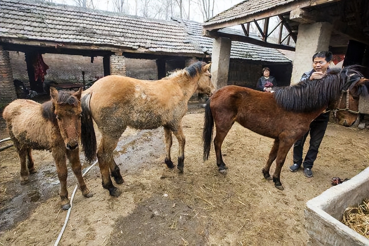 1967�꣬�½���ʧһ���Ȼ��ڣ��Ϲ���������˭�����ڲ���