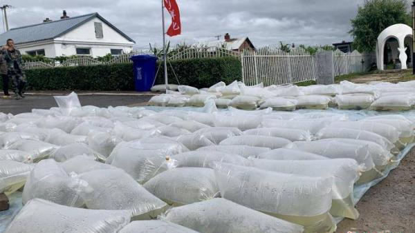 黑龙江渔民误捕1028斤鳇鱼，国家以22万元收购！中俄护鱼有效吗？