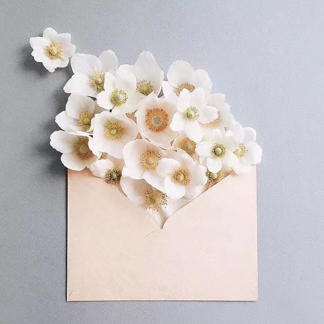 写给初三女儿的“加油信”