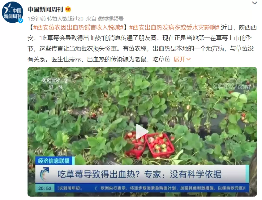 吃草莓得出血热?专家辟谣!