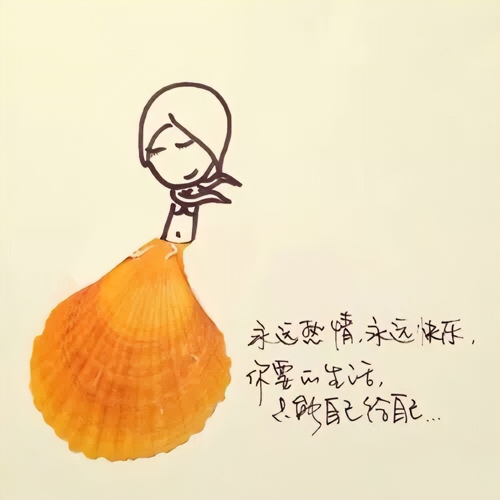 今天说说发什么好呢_晶羽科技