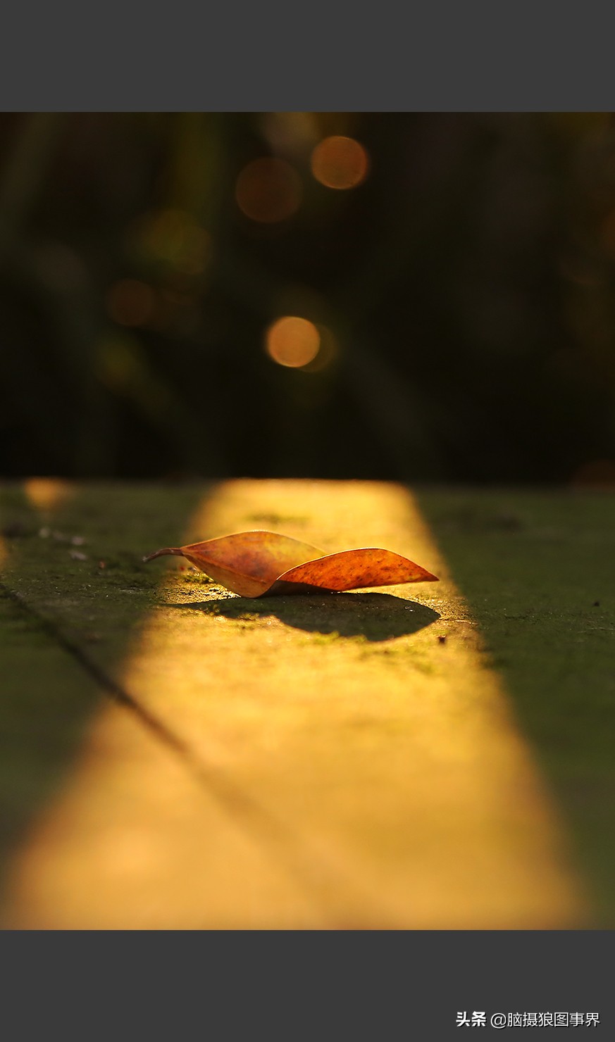 摄影技巧:为什么说光影是摄影的灵魂?至少有8个方面要考虑它