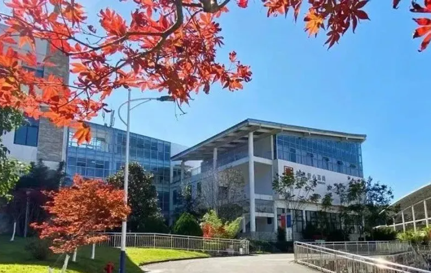 43斤女大学生，为救弟弟吃多年辣椒拌饭，去世前得知男友癌症病逝