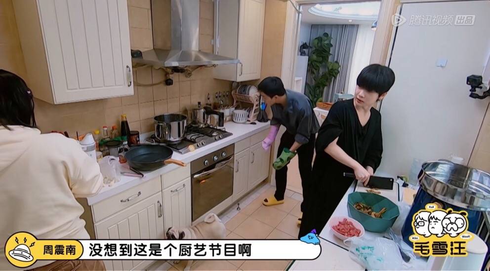 周震南做客《毛雪汪》春番，廚房小白喜提輩分上漲