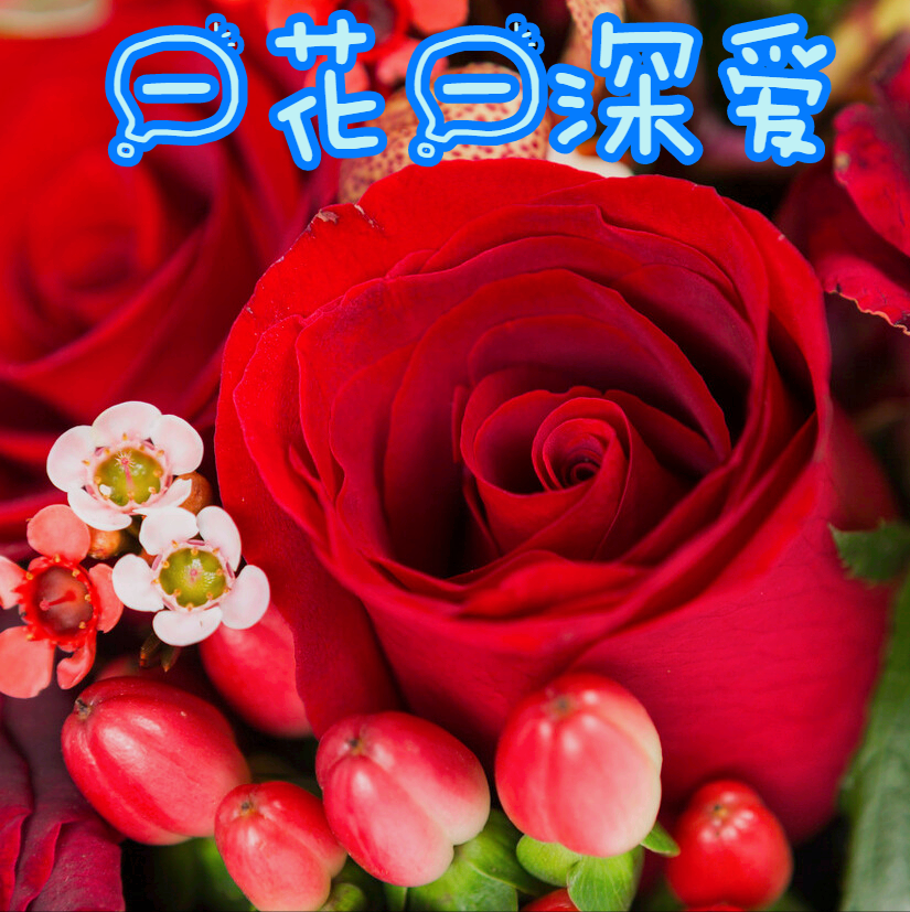 一花一世界，一花一深爱，只要与花相遇，就念在心里，爱到永久