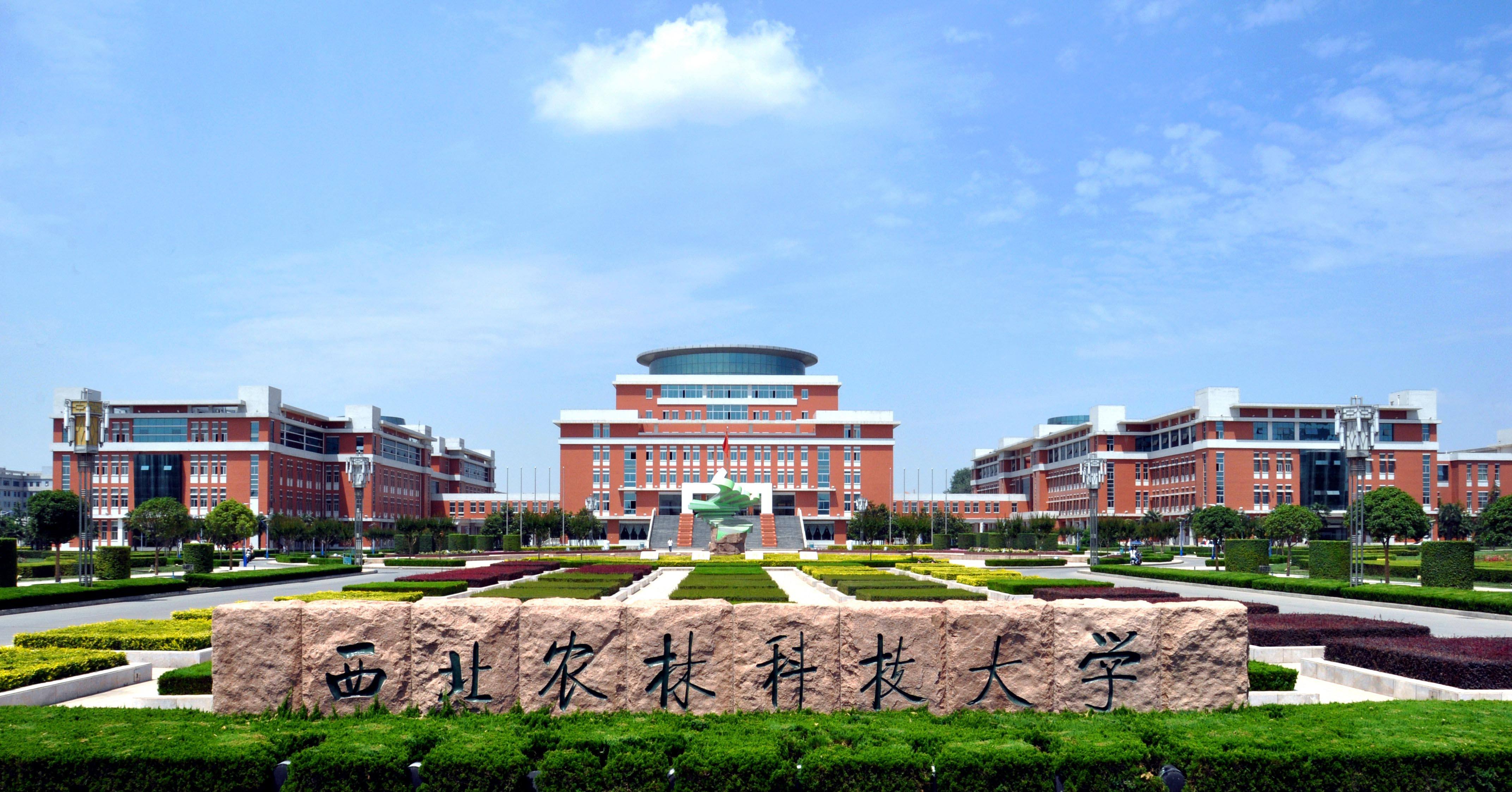 西北农林科技大学：“985”就是“985”，不管学啥都会有人叫好