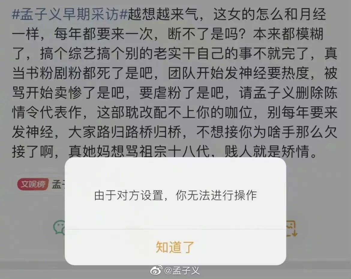 孟子义霸气回复骂她的网友，我本人没有给角色加戏