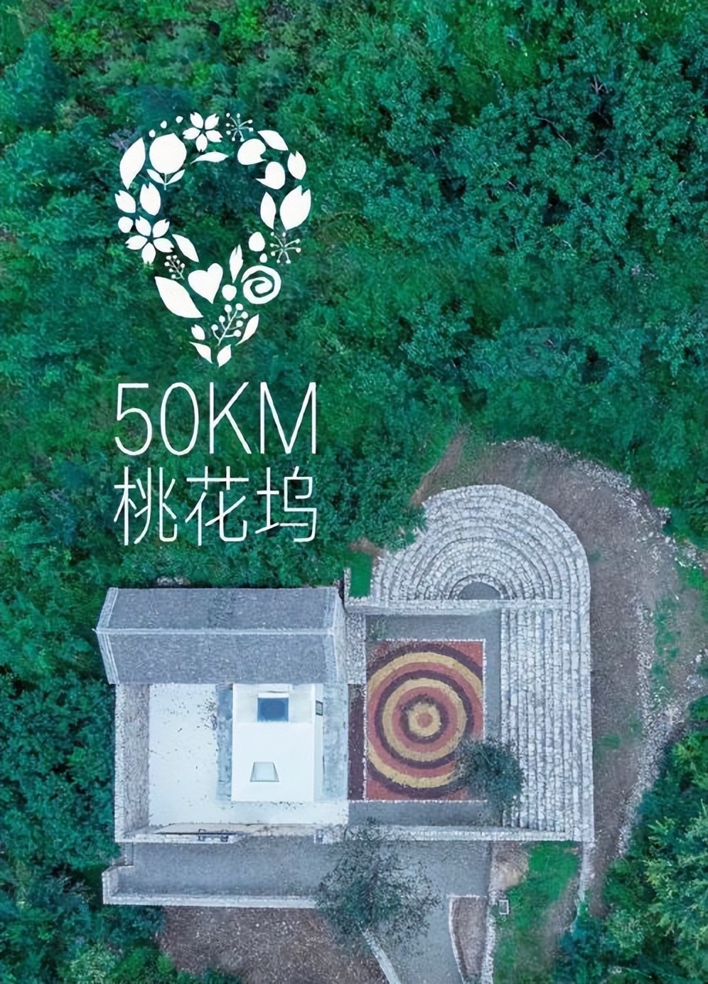 宋丹丹，你真该学一下张三丰