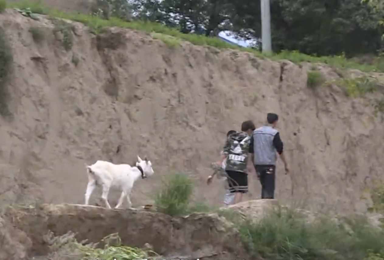 山东16岁富二代：逼姥爷下跪磕头，和母亲绝交，如今逆袭成为歌手