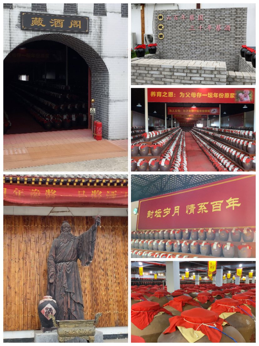 蔡酒飘香迎春来 蔡洪坊文化产业园邀你来一场探索之旅