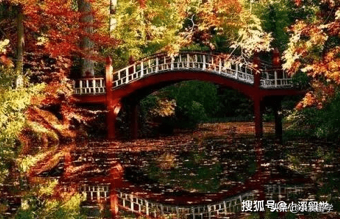 今天分享一些不一样的，美国哪些大学最为浪漫