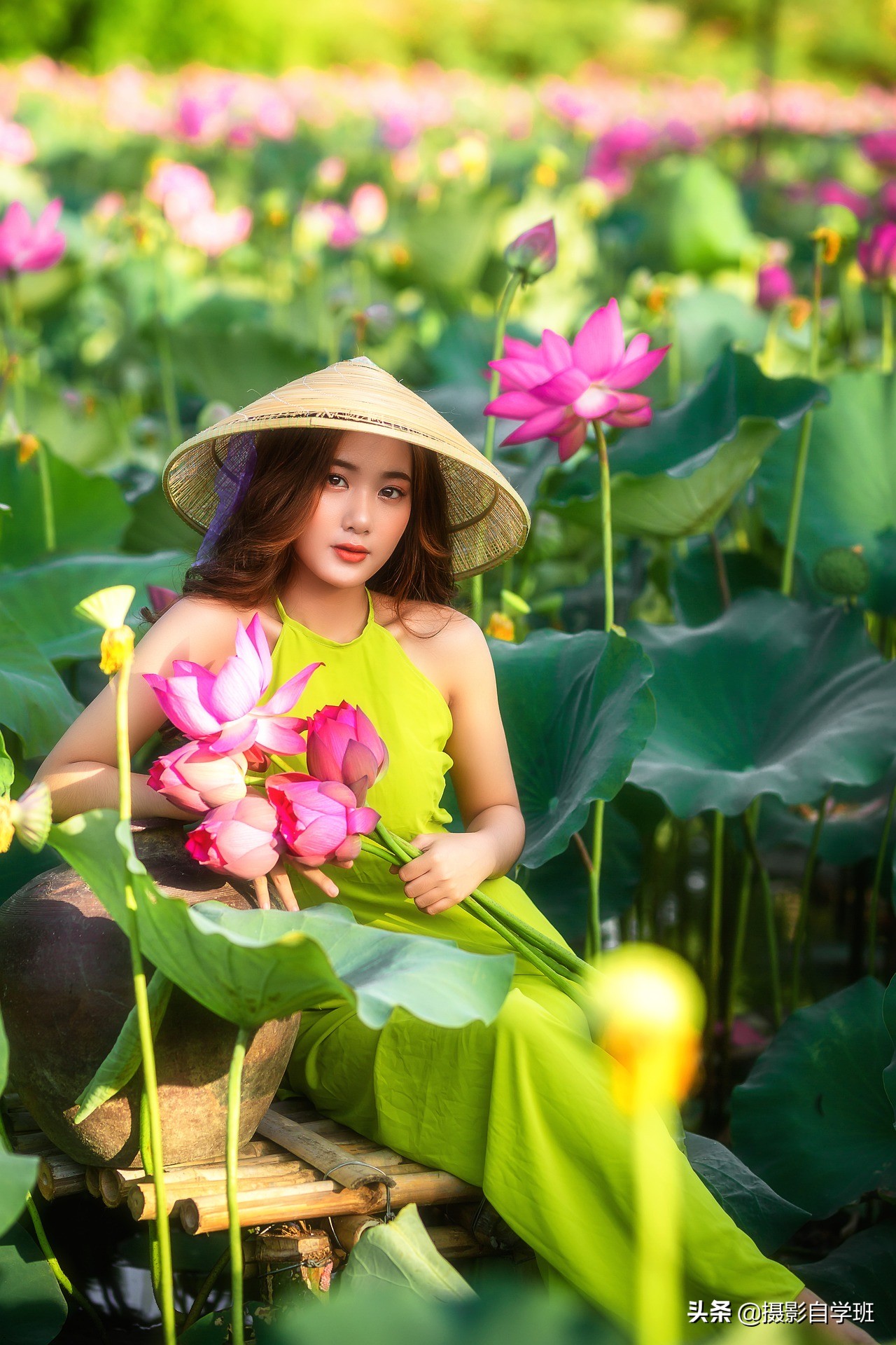 拍攝荷花人像注意這6個(gè)影響，必能拍出精品，經(jīng)久不衰