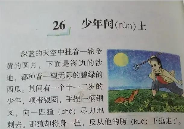 疫情期间重温《少年闰土》读后感6767