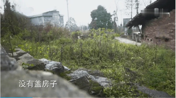 14年前他背“疯娘”求学，拒绝55万年薪，如今改变千名学子命运