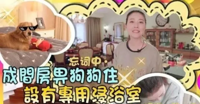 过气明星生存状态:有人儿子患重病,有人蜗居县城,有人自毁名声