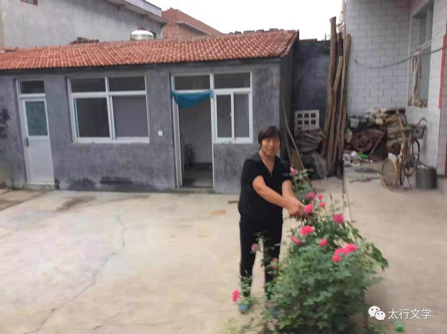 知足常乐的妻子：简单生活里的幸福密码