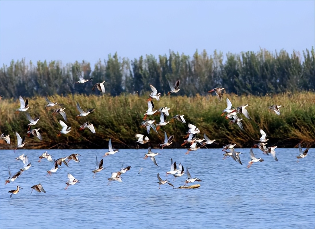 期待 |"小七里海"来了!可以观鸟,游玩,还有"海底"隧道
