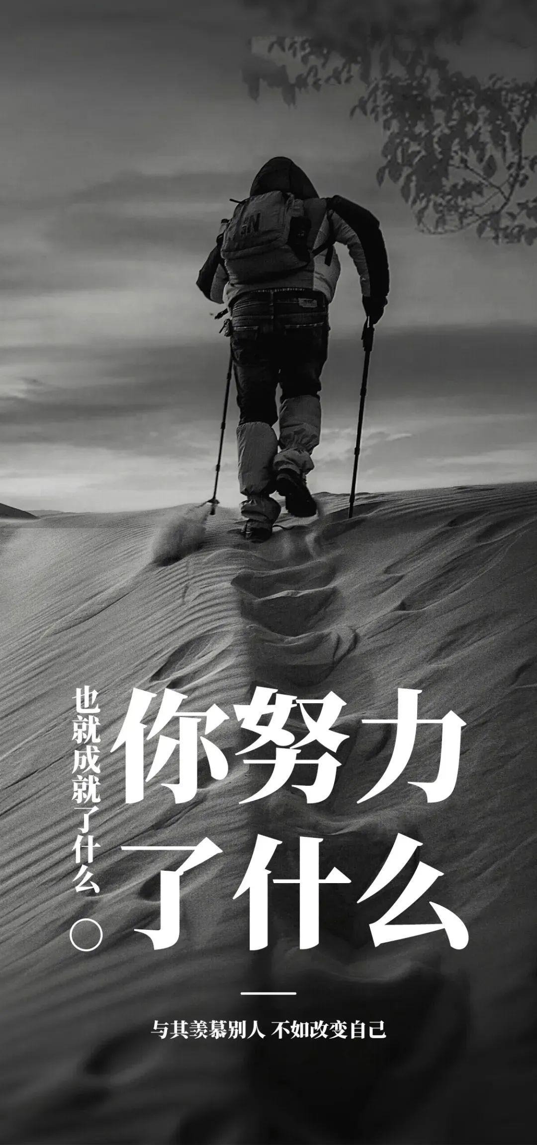 早上的问候(早上的问候语正能量)