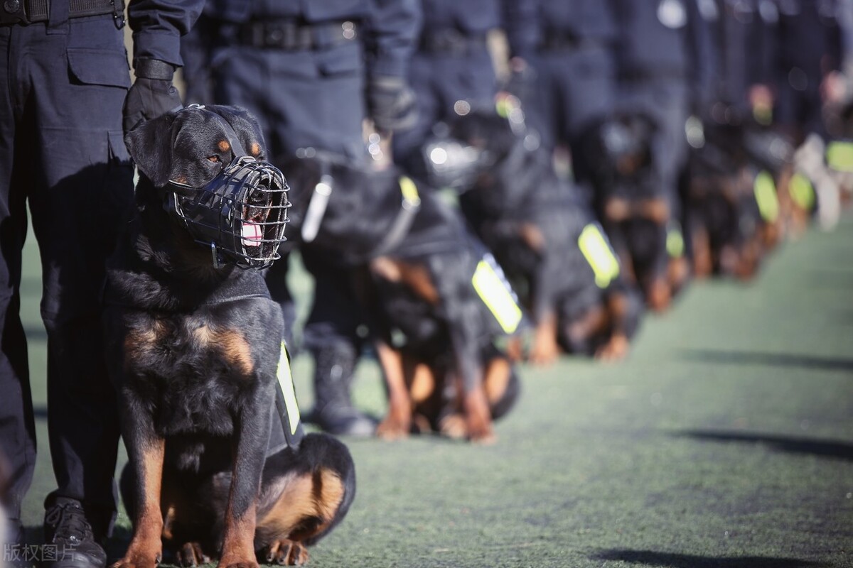 北京警察学校（新高考之下）