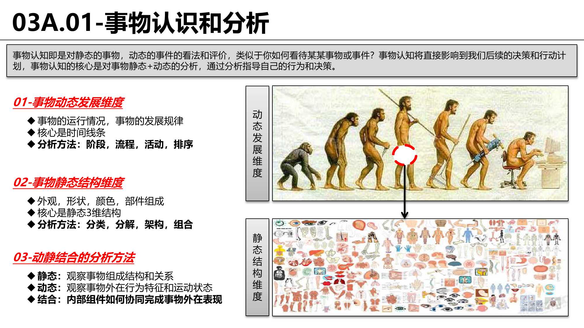 思维框架和逻辑完整梳理：没有渐修，何来顿悟？