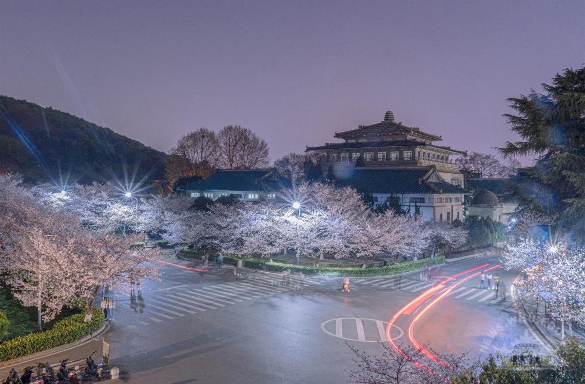 湖北“超美”大学：占地5195亩，宿舍6部电梯，坐拥26栋文物建筑和1000株樱花！