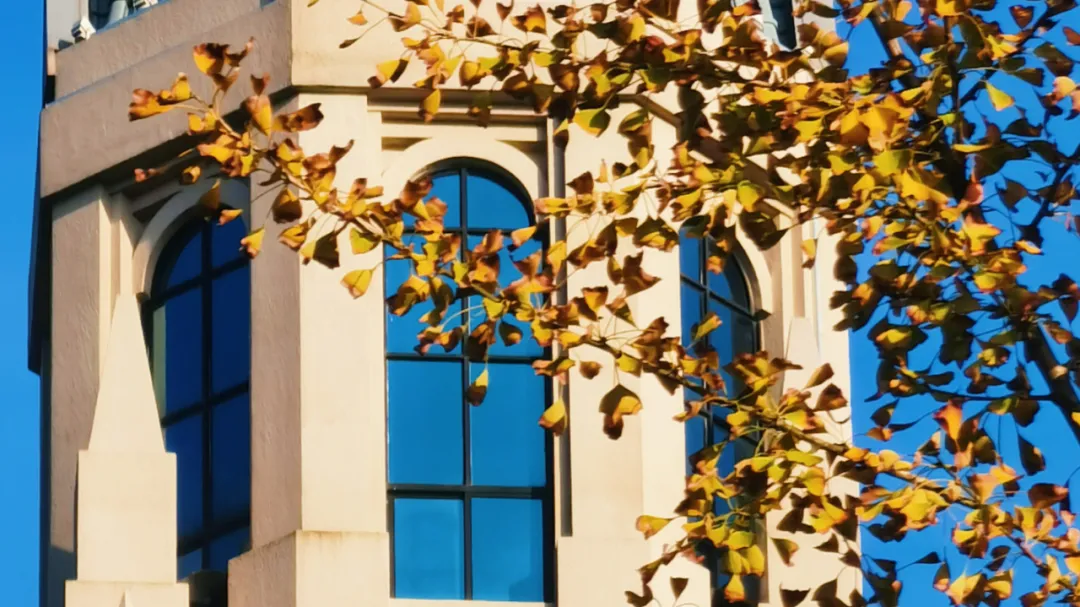 华政代表队荣获全国大赛一等奖！