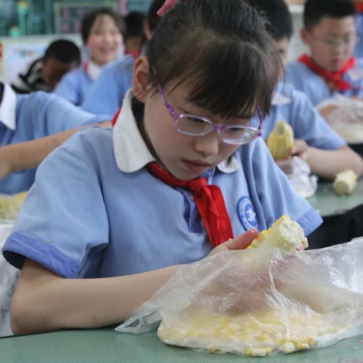 发扬劳动精神 争做先锋少年｜记川大西航港实小劳动技能大赛活动