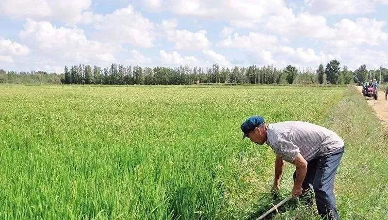 场地清理造价编制注意事项及要点分析