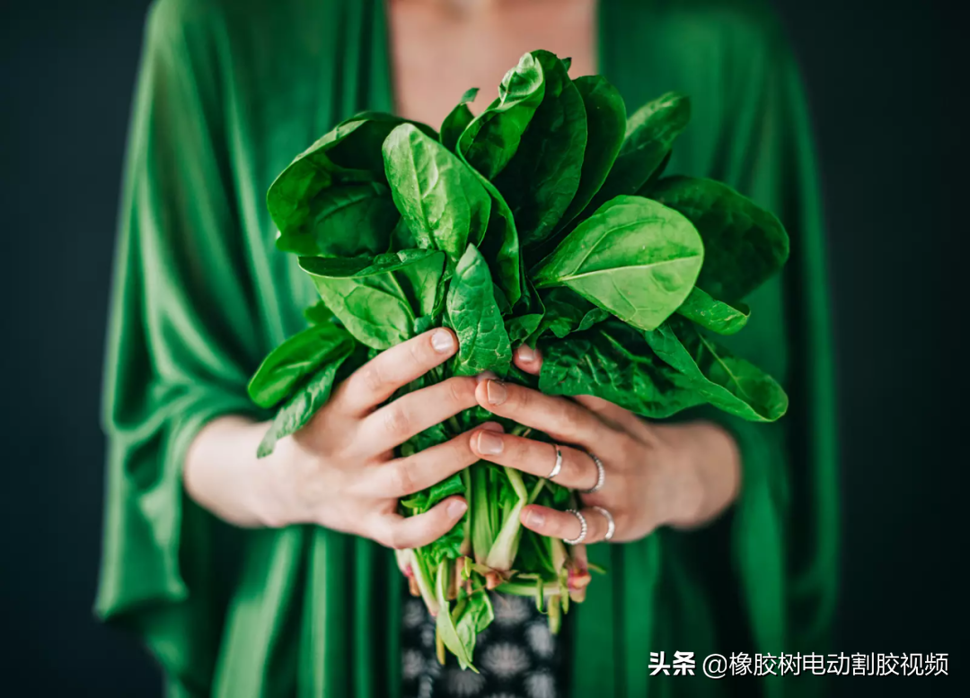 如果你想让头发长得更快，最好吃的 12 种食物