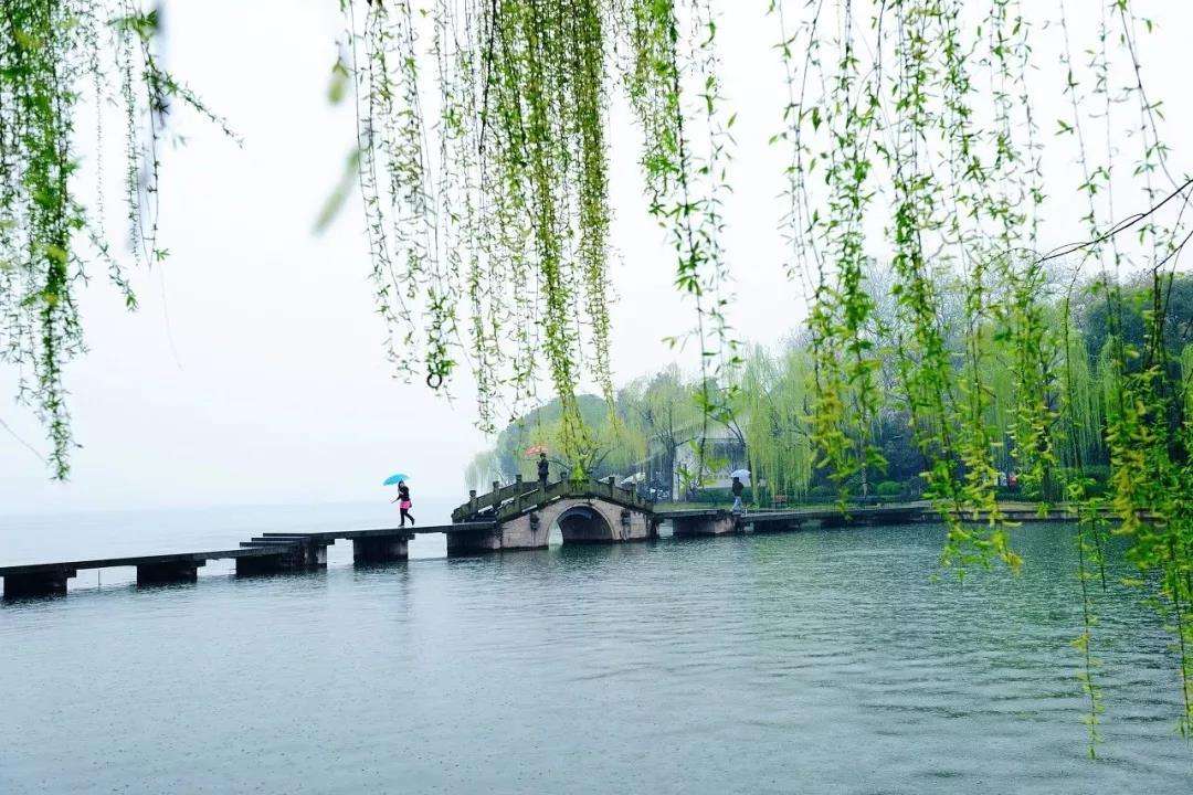 在诗词中畅游春天(垂柳篇)