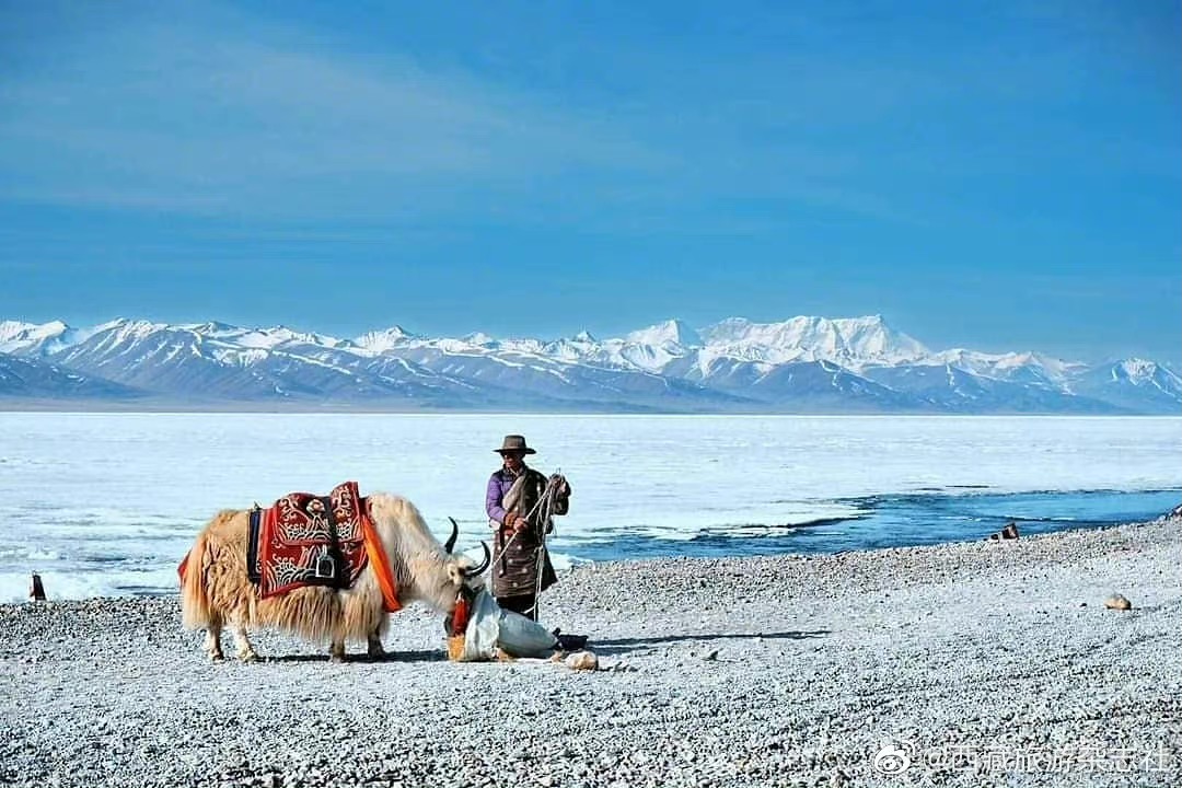 名人是如何看待旅行的？