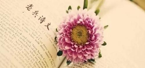 铁兵笔下的家庭温情：岁月沉淀的点滴感悟