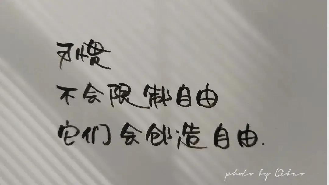 掌控习惯：你是谁不重要，你想成为谁很重要