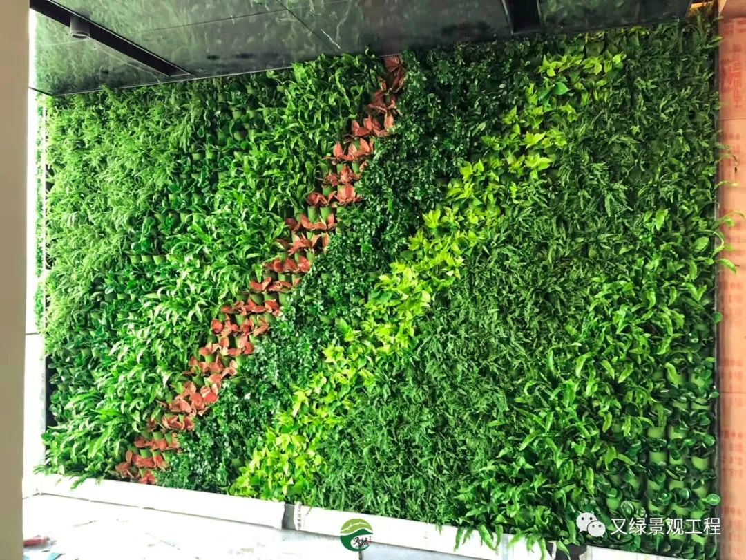 企业植物墙这样做，简约又大气