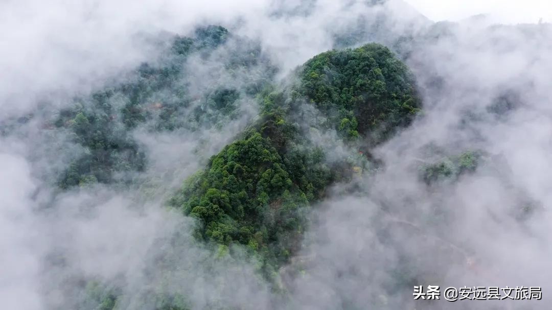 藏在江西大山里的诗意春色，美翻了