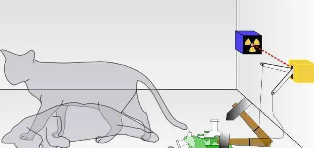 薛定谔的猫是什么意思？它比喻什么？“薛定谔的猫”通俗解释