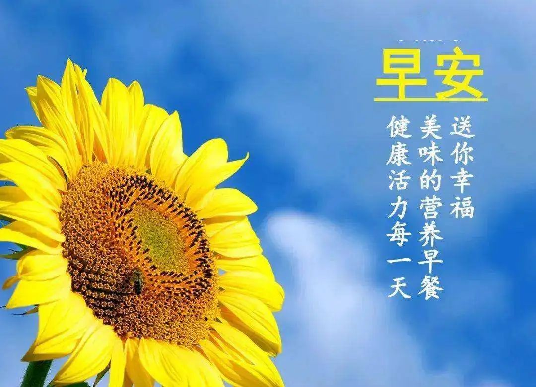 早安吉祥:用心倾听,才能获得快乐的真谛,早安