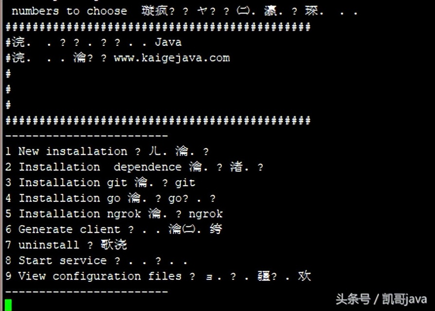 內(nèi)網(wǎng)穿透利器-ngrok的圖文安裝