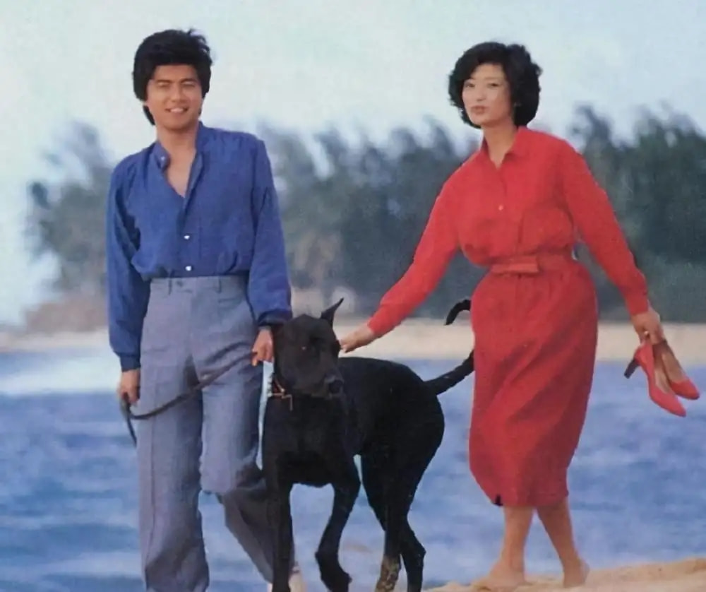 看了山口百惠的春夏穿搭，才发现：再过40年，你穿衣也不如她时髦